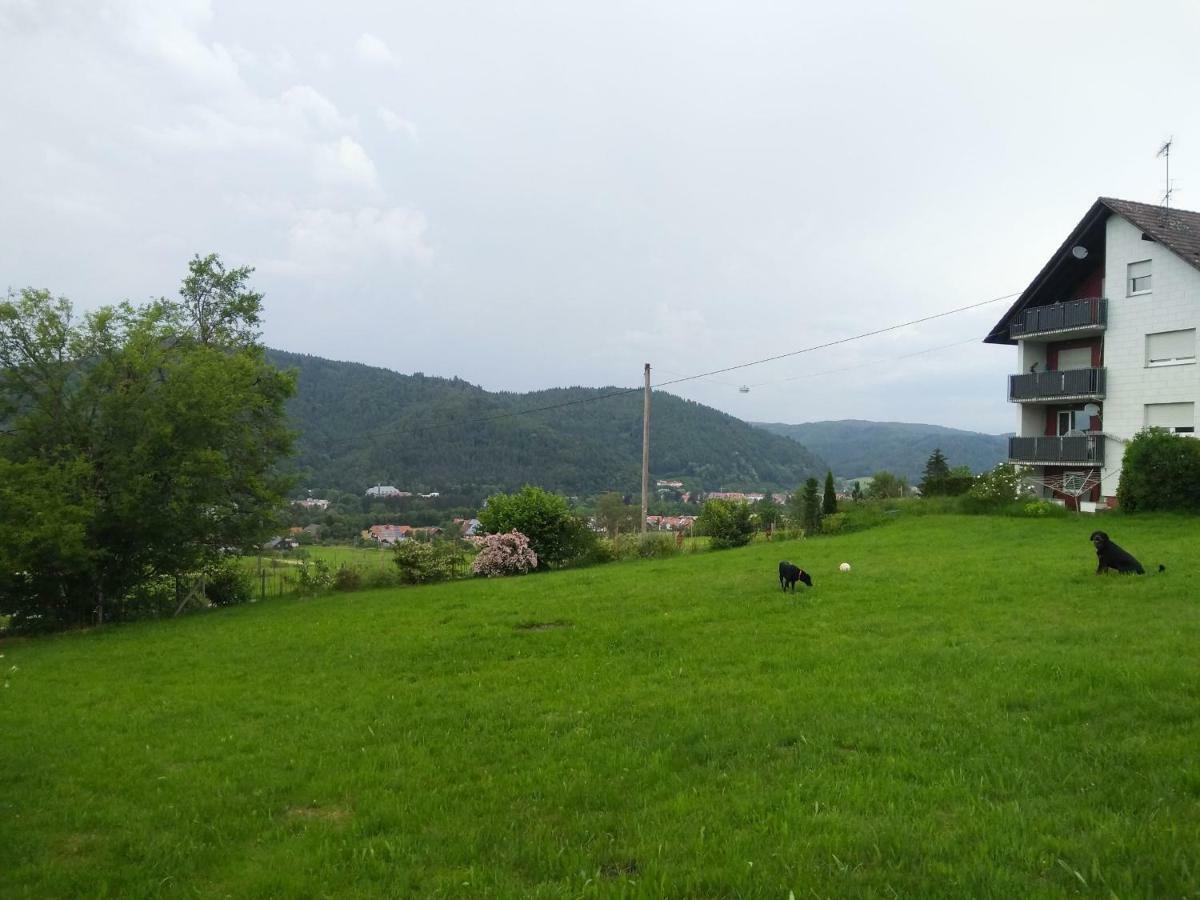 Ferienwohnung Am Eichbuehl Валдкирх Екстериор снимка